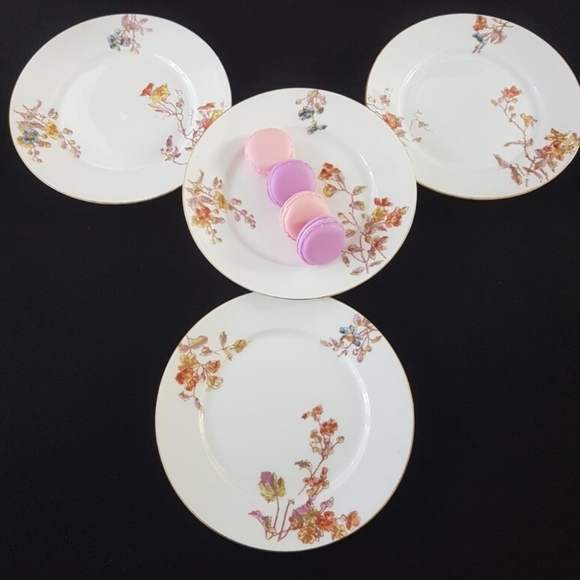 Limoges Antique Dessert Plate Set of 4 - Hand Painted - Made in France 1890-1902 - Picture 2 of 10